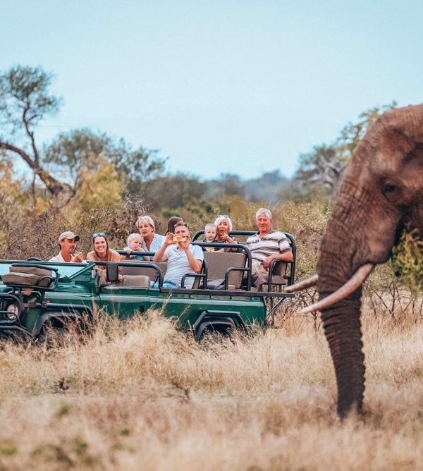 My-Africa-Game-Drive